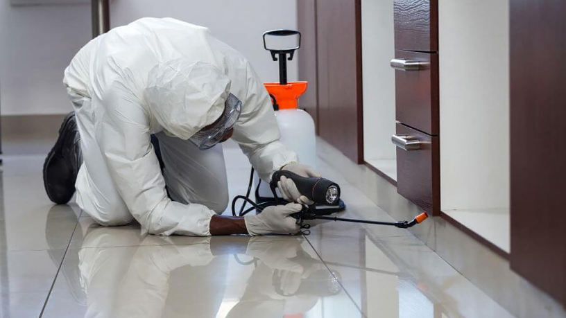 Usar bioinsumos é alternativa sustentável no manejo de pragas, destaca Aldo Vendramin.