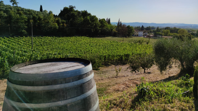 Entre cultura e natureza, Leonardo Rocha de Almeida Abreu destaca os encantos da Toscana e seus vinhos.