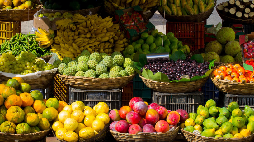 Andrey de Oliveira Pontes mostra como fibras de frutas e sementes podem transformar sua digestão e seu bem-estar diário.