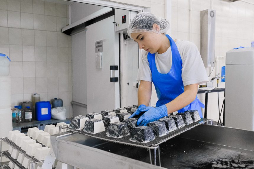 Trabalhador usando equipamento de proteção examina blocos de queijo em uma fábrica.