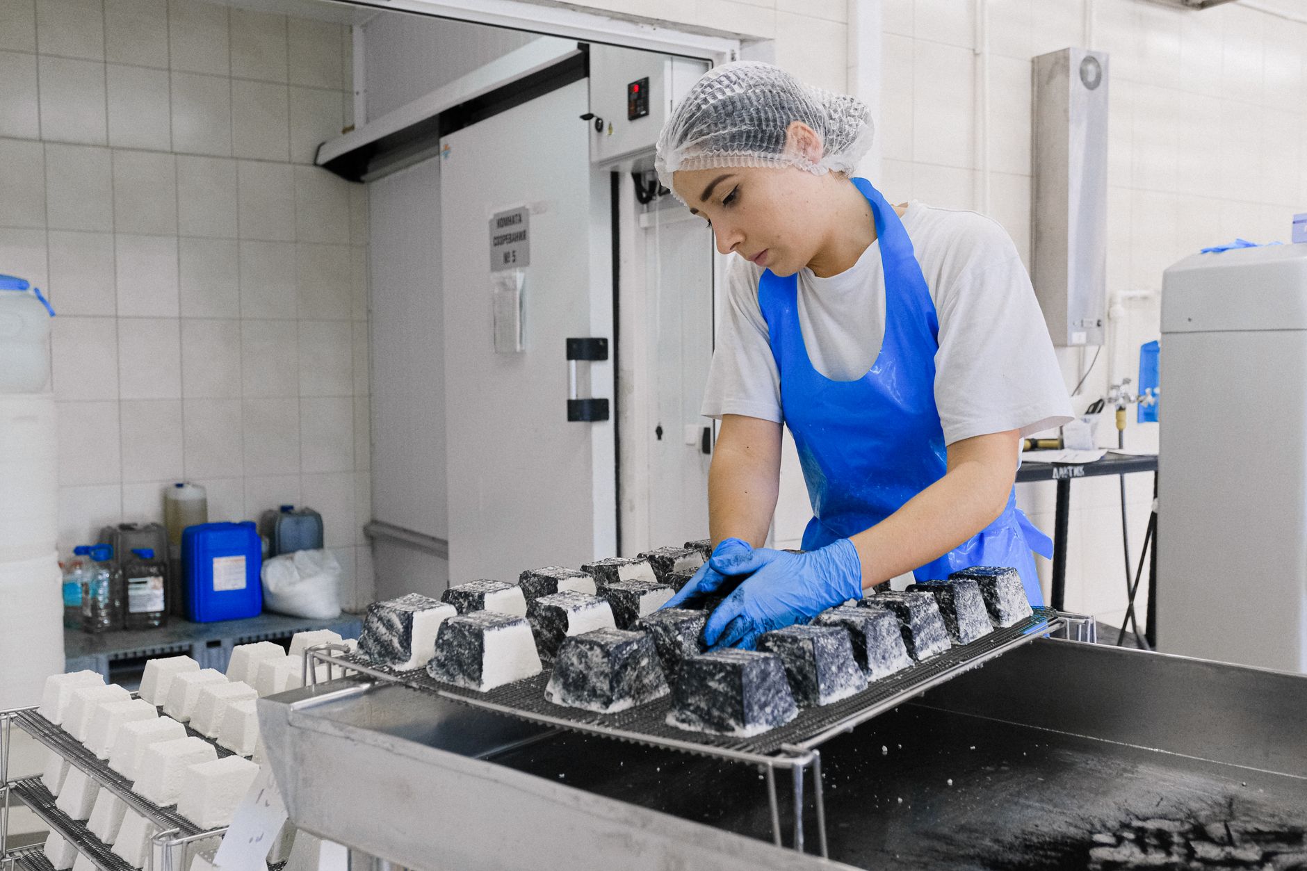 Trabalhador usando equipamento de proteção examina blocos de queijo em uma fábrica.