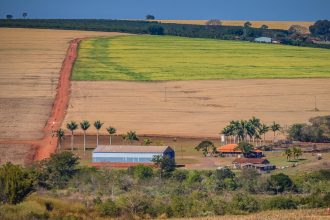 Vista ampla de propriedade rural, com campos, estrada de terra e edificações agrícolas.