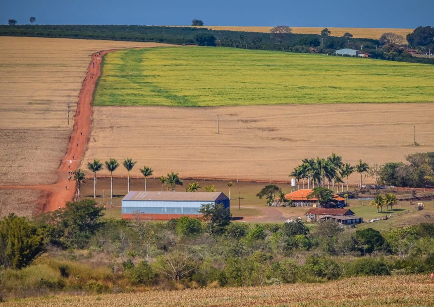 Vista ampla de propriedade rural, com campos, estrada de terra e edificações agrícolas.