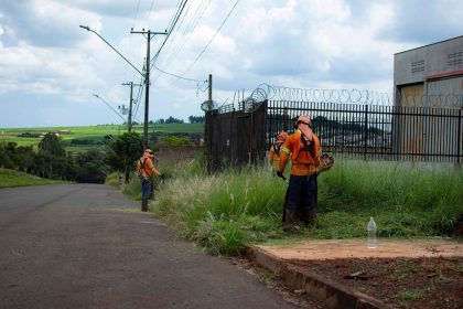 Trabalhadores fazem a roçada da vegetação às margens de uma estrada.