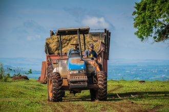 Dois agricultores conduzem um trator que transporta fardos de feno por uma área rural.